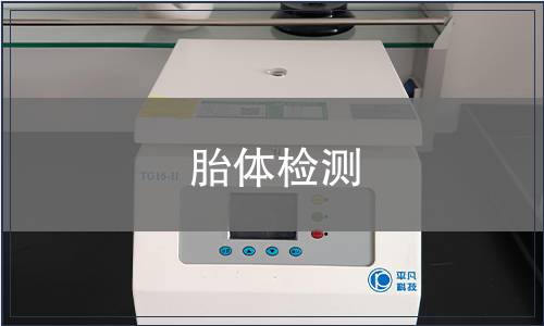 胎體檢測(cè)