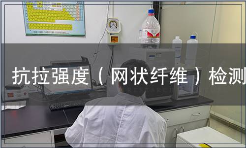 抗拉強(qiáng)度（網(wǎng)狀纖維）檢測