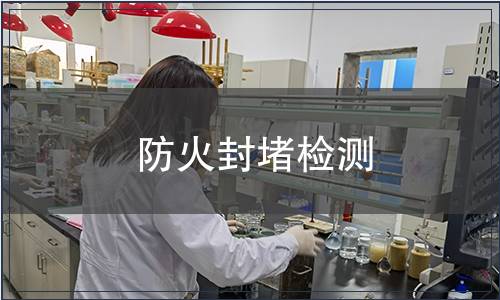 防火封堵檢測