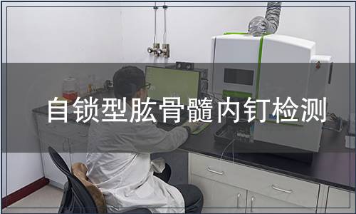 自鎖型肱骨髓內釘檢測