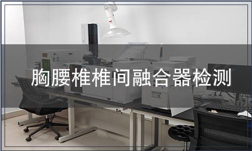 胸腰椎椎間融合器檢測