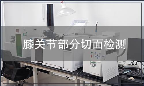 膝關(guān)節(jié)部分切面檢測