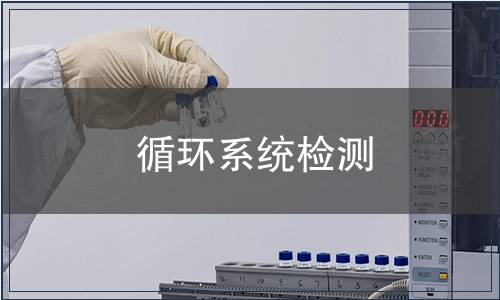 循環系統檢測