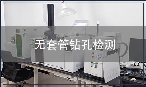 無套管鉆孔檢測