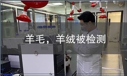 羊毛，羊絨被檢測