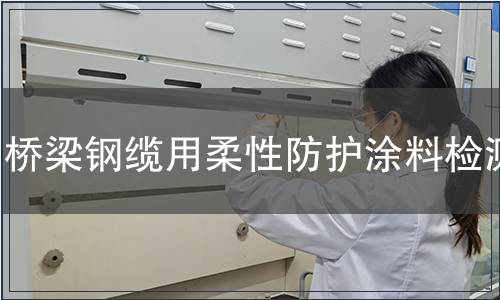 橋梁鋼纜用柔性防護涂料檢測