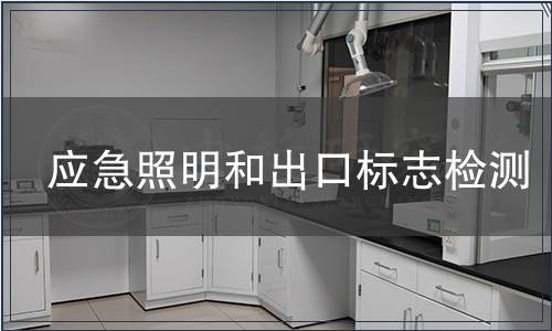 應急照明和出口標志檢測