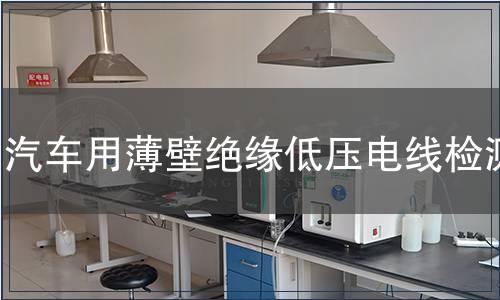 汽車用薄壁絕緣低壓電線檢測(cè)