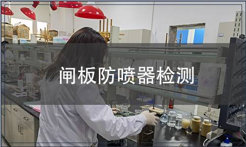 閘板防噴器檢測