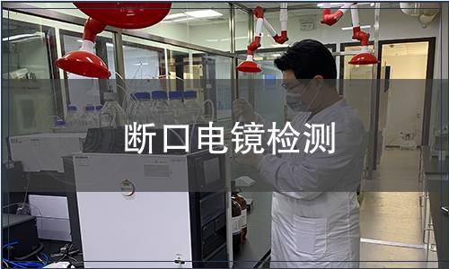 斷口電鏡檢測(cè)