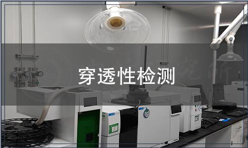 穿透性檢測(cè)