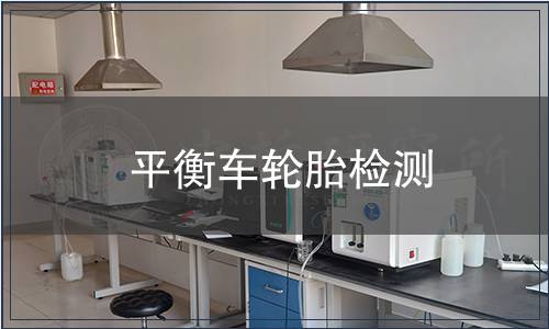 平衡車輪胎檢測